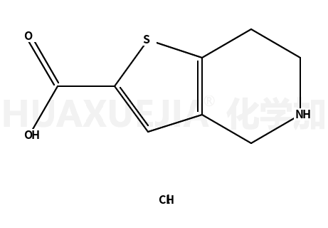 4,5,6,7-Tetrahydrothieno[3,2-c]pyridine-2-carboxylic acid hydrochloride