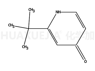 2-叔丁基吡啶-4(1H)-酮
