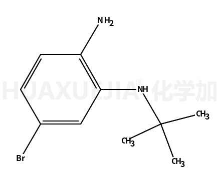 5-bromo-N1-tert-butylbenzene-1,2-diamine
