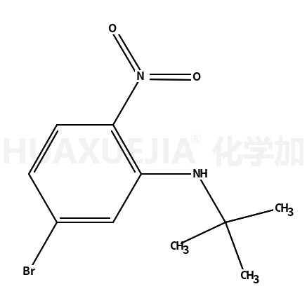 5-溴-N-叔丁基-2-硝基苯胺