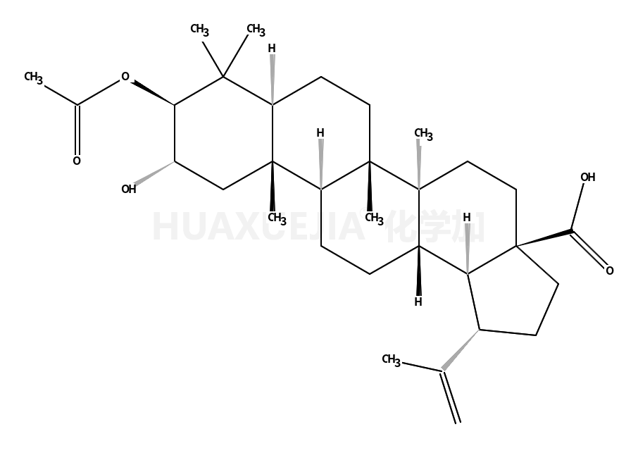 2alpha-羟基-3beta-乙酰白桦酸
