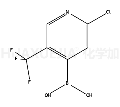 2-氯-5-三氟甲基吡啶-4-硼酸