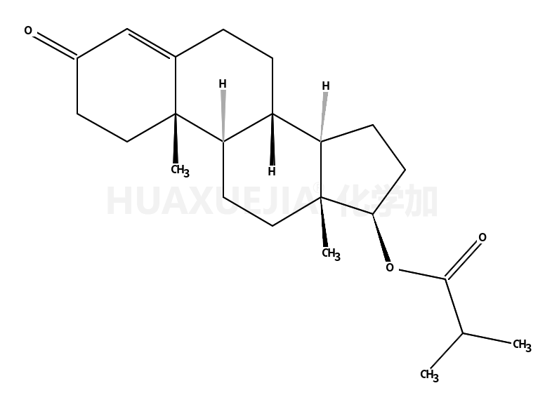 异丁酸睾酮