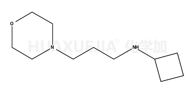 N-环丁基-4-吗啉丙胺