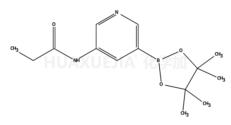 N-(5-(4,4,5,5-四甲基-1,3,2-二噁硼烷-2-基)吡啶-3-基)丙酰胺