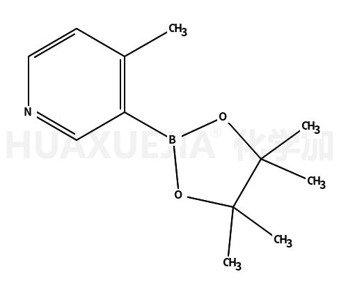 4-甲基吡啶-3-硼酸频哪醇酯
