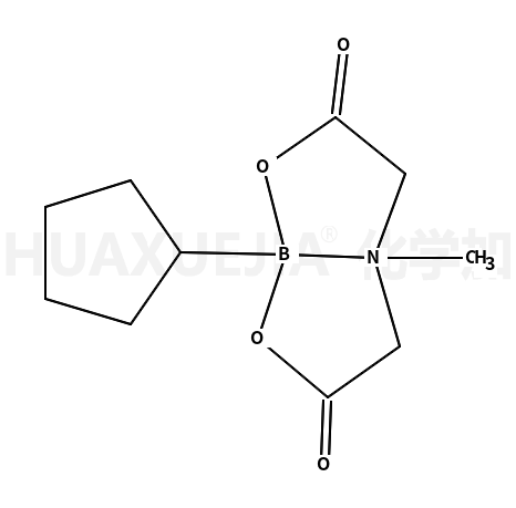 环戊基硼酸甲基亚氨基二乙酸酯