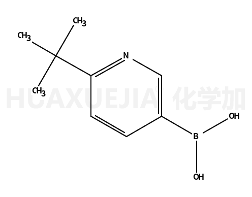 6-叔丁基吡啶-3-基硼酸