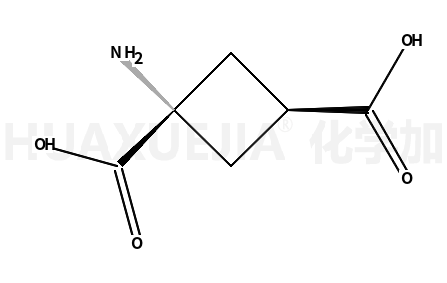 1-氨基环丁烷-顺-1,3-二羧酸