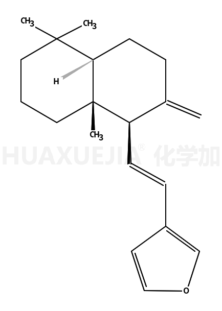 二羟丙茶碱E