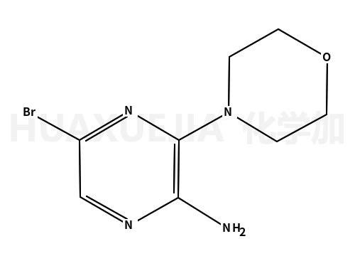 2-氨基-5-溴-3-吗啉-4-基吡嗪