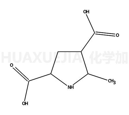 5-甲基-2,4-吡咯烷二羧酸