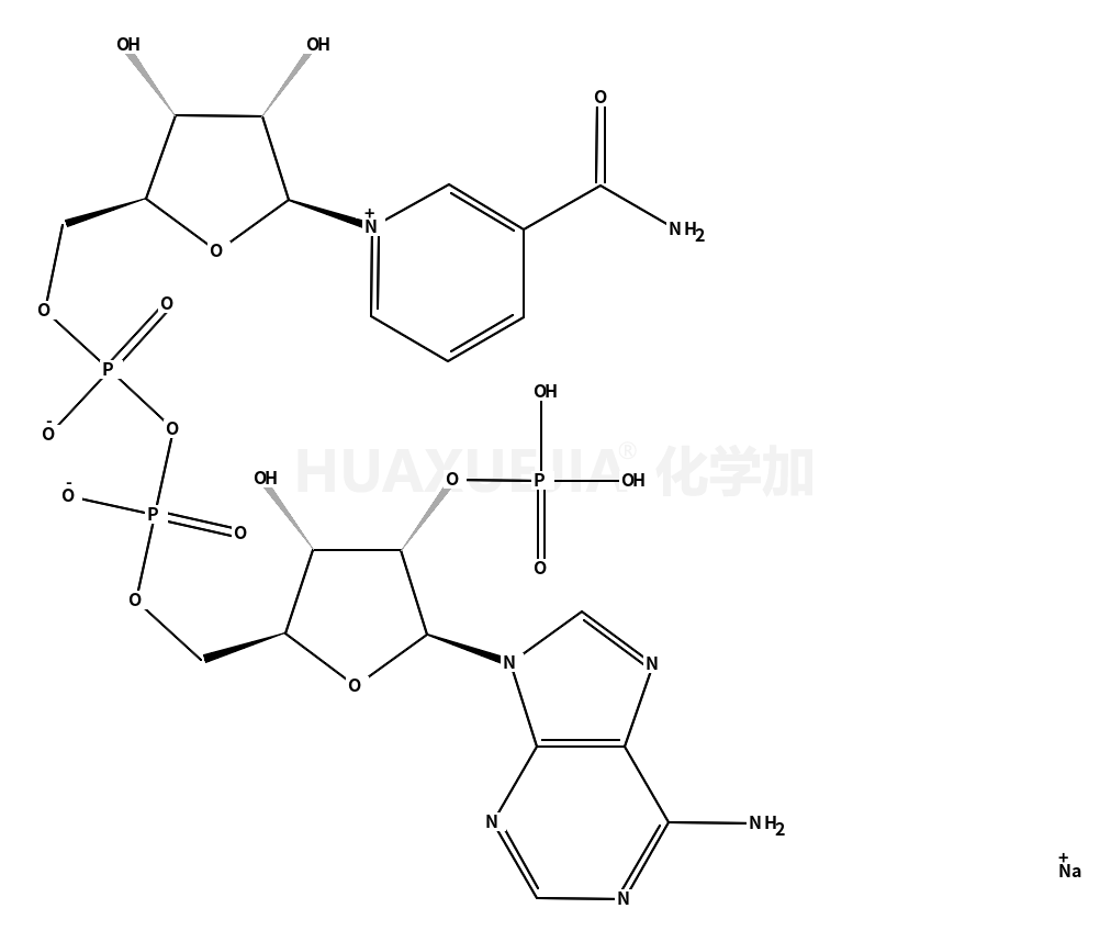 β-烟酰胺腺嘌呤二核苷酸磷酸钠盐