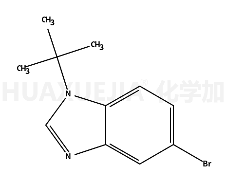 5-溴-1-t-丁基 苯并d咪唑