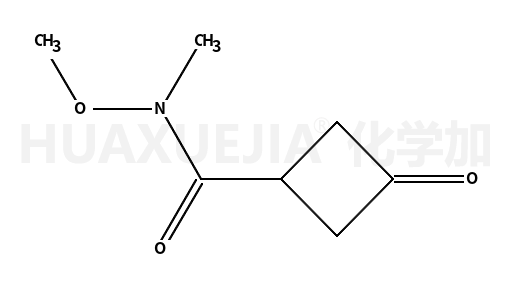 N-甲氧基-n-甲基-3-氧代环丁烷羧酰胺