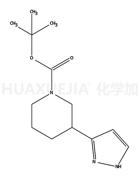 3-(1H-吡唑-3-基)哌啶-1-羧酸叔丁酯