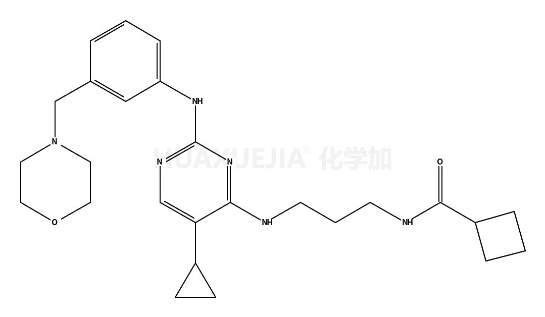 N-[3-[[5-环丙基-2-[[3-(4-吗啉基甲基)苯基]氨基]-4-嘧啶基]氨基]丙基]环丁烷甲酰胺