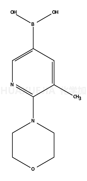 B-[5-甲基-6-(4-吗啉基)-3-吡啶基]硼酸