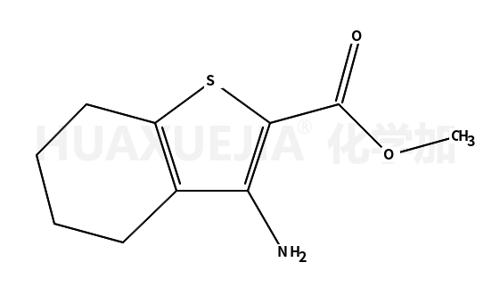 3-氨基-4,5,6,7-四氫苯并[b]噻吩-2-羧酸甲酯