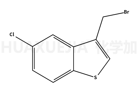 1198-51-2结构式