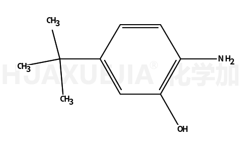 苯酚,  2-氨基-5-(1,1-二甲基乙基)-