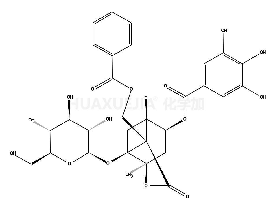 4-O-没食子酰白芍苷