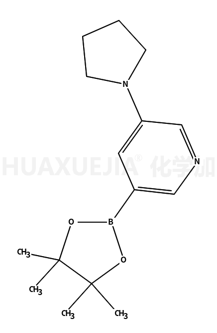 3-(1-吡咯烷)-5-(4,4,5,5-四甲基-1,3,2-二噁硼烷-2-基)-吡啶