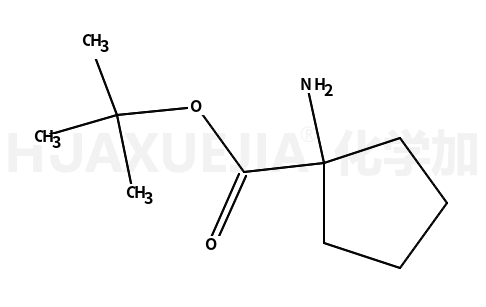 1-氨基环戊烷羧酸叔丁酯
