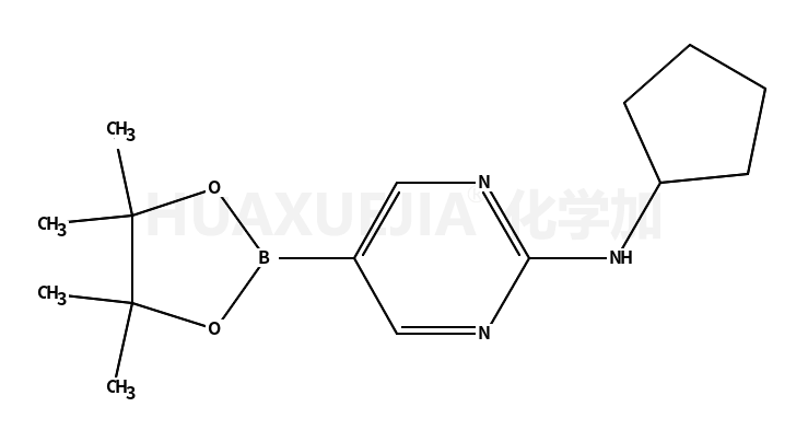 2-(环戊基氨基)嘧啶-5-硼酸频那醇酯