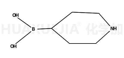哌啶-4-硼酸