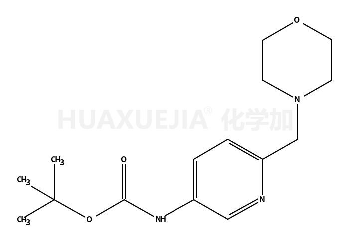 6-(吗啉甲基)吡啶-3-基氨基甲酸叔丁酯