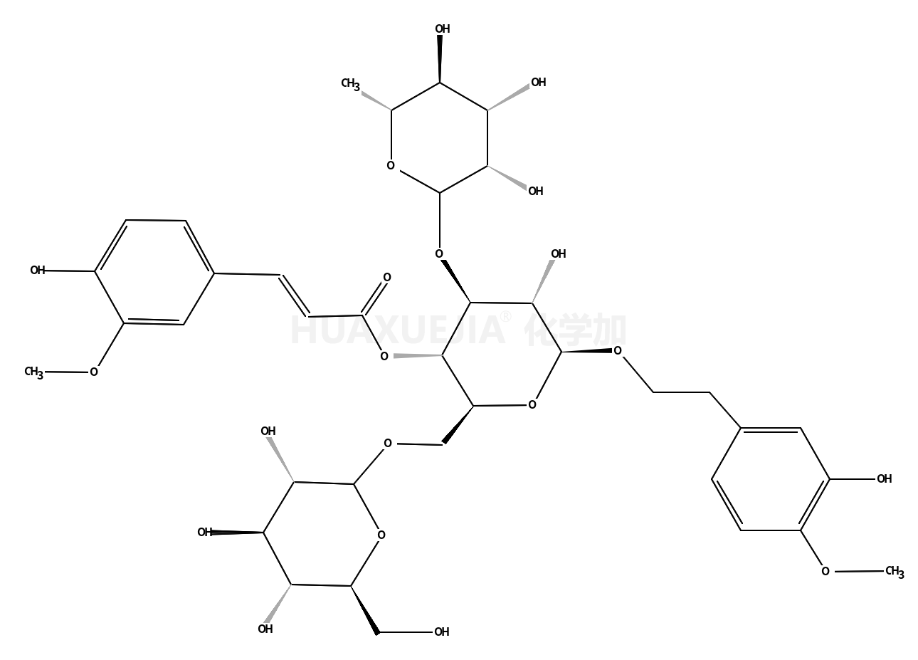 焦地黄苯乙醇甙B1