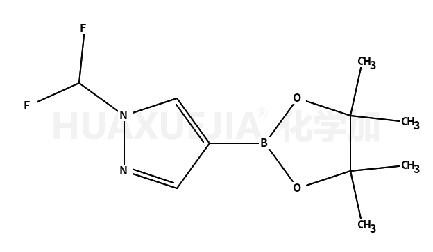 1-(二氟甲基)-4-(4,4,5,5-四甲基-1,3,2-二噁硼烷-2-基)-1H-吡唑