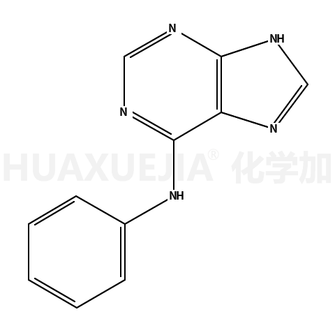 6-苯胺嘌呤