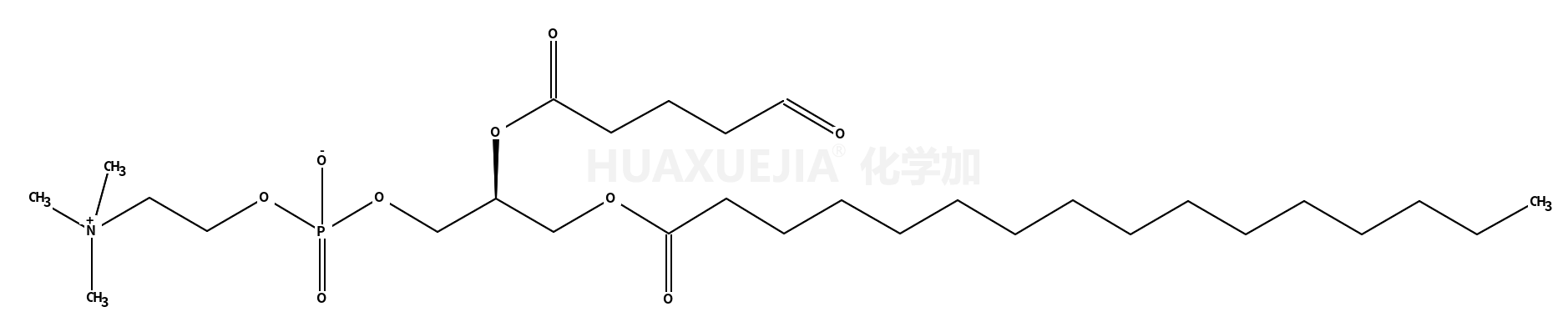1-palmitoyl-2-(5'-oxo-valeroyl)-sn-glycero-3-phosphocholine