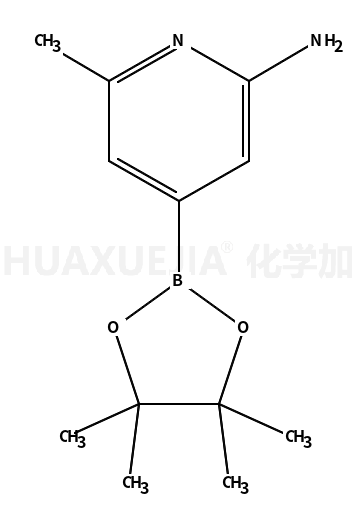 6-甲基-4-(4,4,5,5-四甲基-1,3,2-二噁硼烷-2-基)吡啶-2-胺