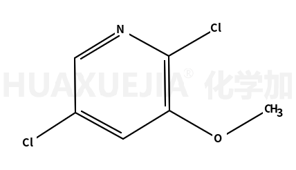 2,5-二氯-3-甲氧基吡啶