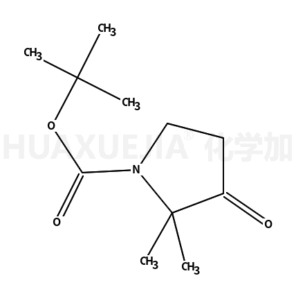2,2-二甲基-3-氧代吡咯烷-1-羧酸叔丁酯