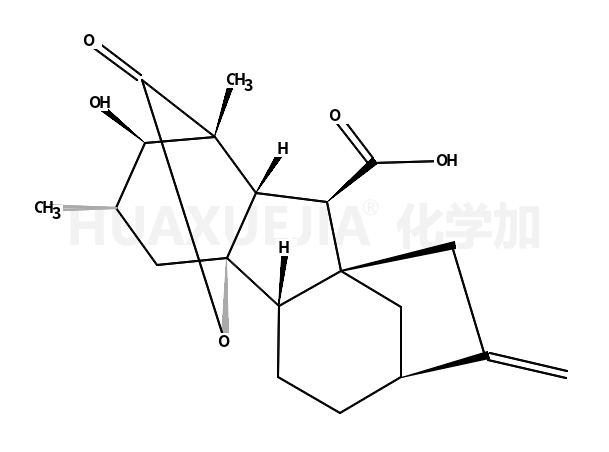 2α-methyl-GA4