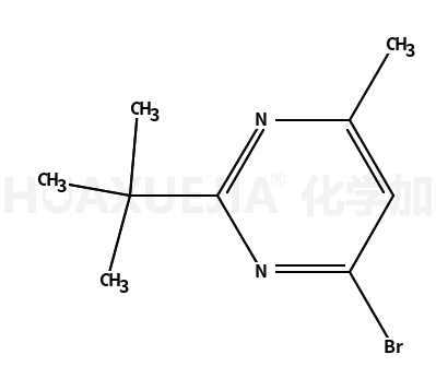 4-bromo-2-tert-butyl-6-methylpyrimidine
