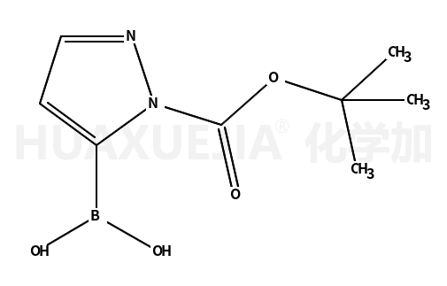 1-(T-丁氧基羰基)吡唑-5-硼酸