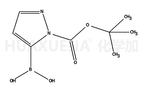 1-BOC-5-吡唑硼酸