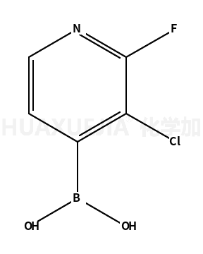 3-氯-2-氟吡啶-4-硼酸