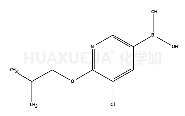 3-氯-2-异丁氧基吡啶-5-硼酸