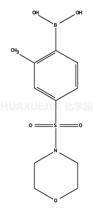 2-甲基-4-(吗啉磺酰基)苯硼酸