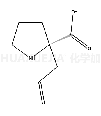 (R)-2-烯丙基吡咯烷-2-羧酸