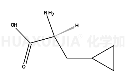 D-环丙基丙氨酸