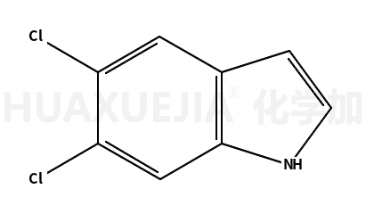 5,6-二氯吲哚