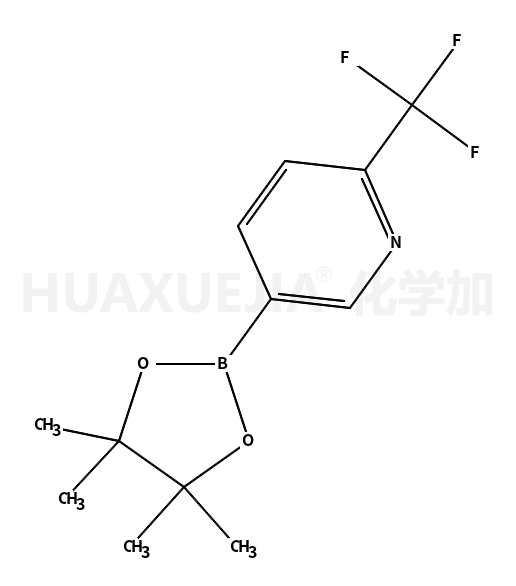 2-三氟甲基吡啶-5-硼酸频哪醇酯