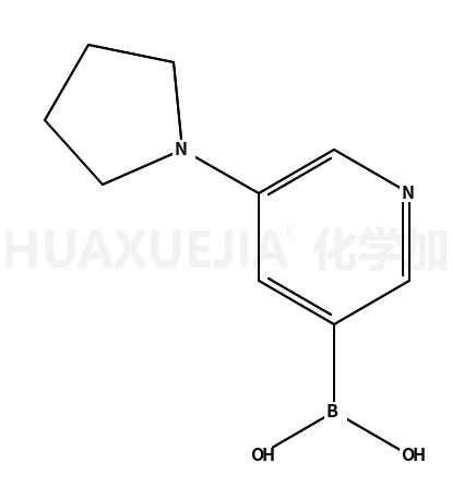 5-吡咯烷并吡啶-3-硼酸